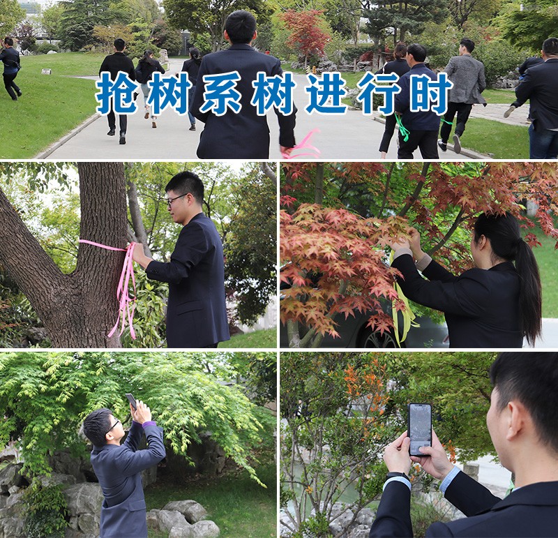 04搶樹(shù)系樹(shù)進(jìn)行時(shí).jpg